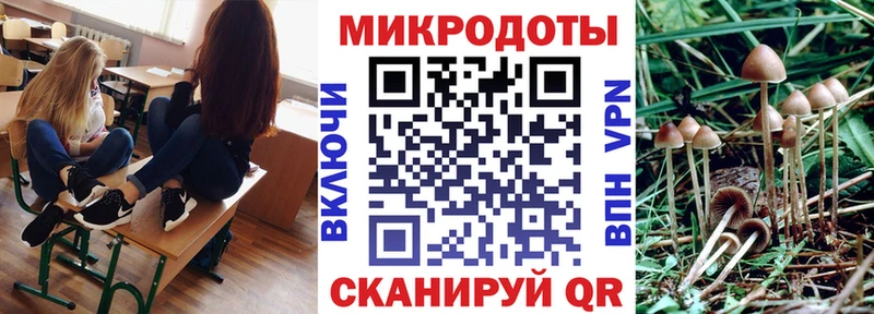 Псилоцибиновые грибы Cubensis  Первомайск 